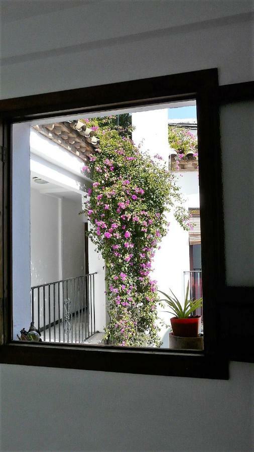 Lola5 Daire Cordoba Dış mekan fotoğraf