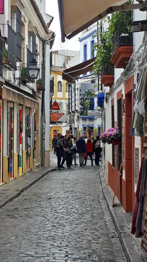 Lola5 Daire Cordoba Dış mekan fotoğraf